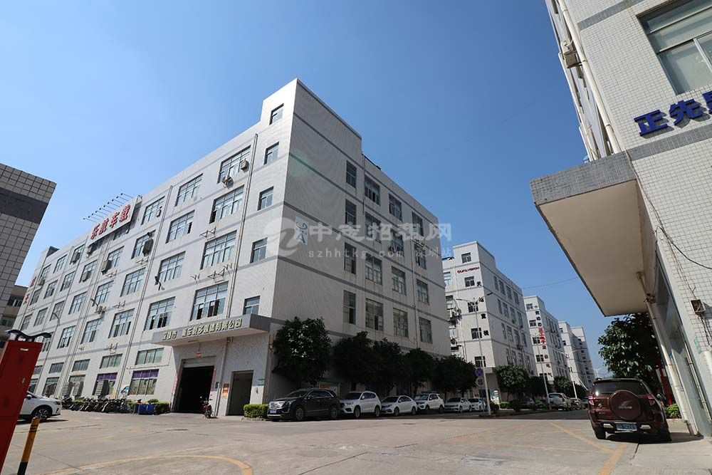 光明新湖一楼厂房出租