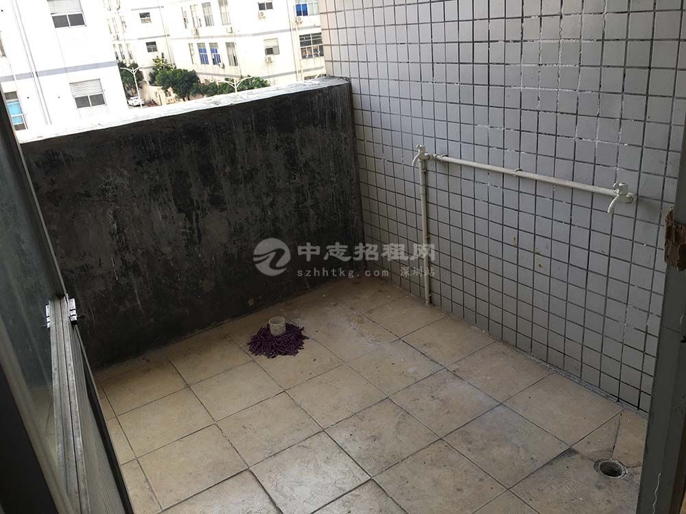 光明单间宿舍出租