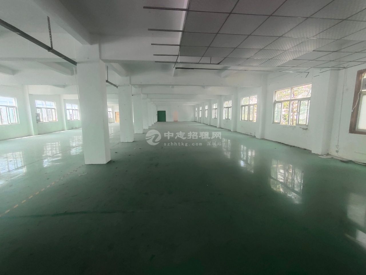 龙岗爱联厂房出租