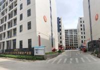 首月租金立减10%，光明港中志TOD生态赋能产业园5380平米厂房仓库业主直租