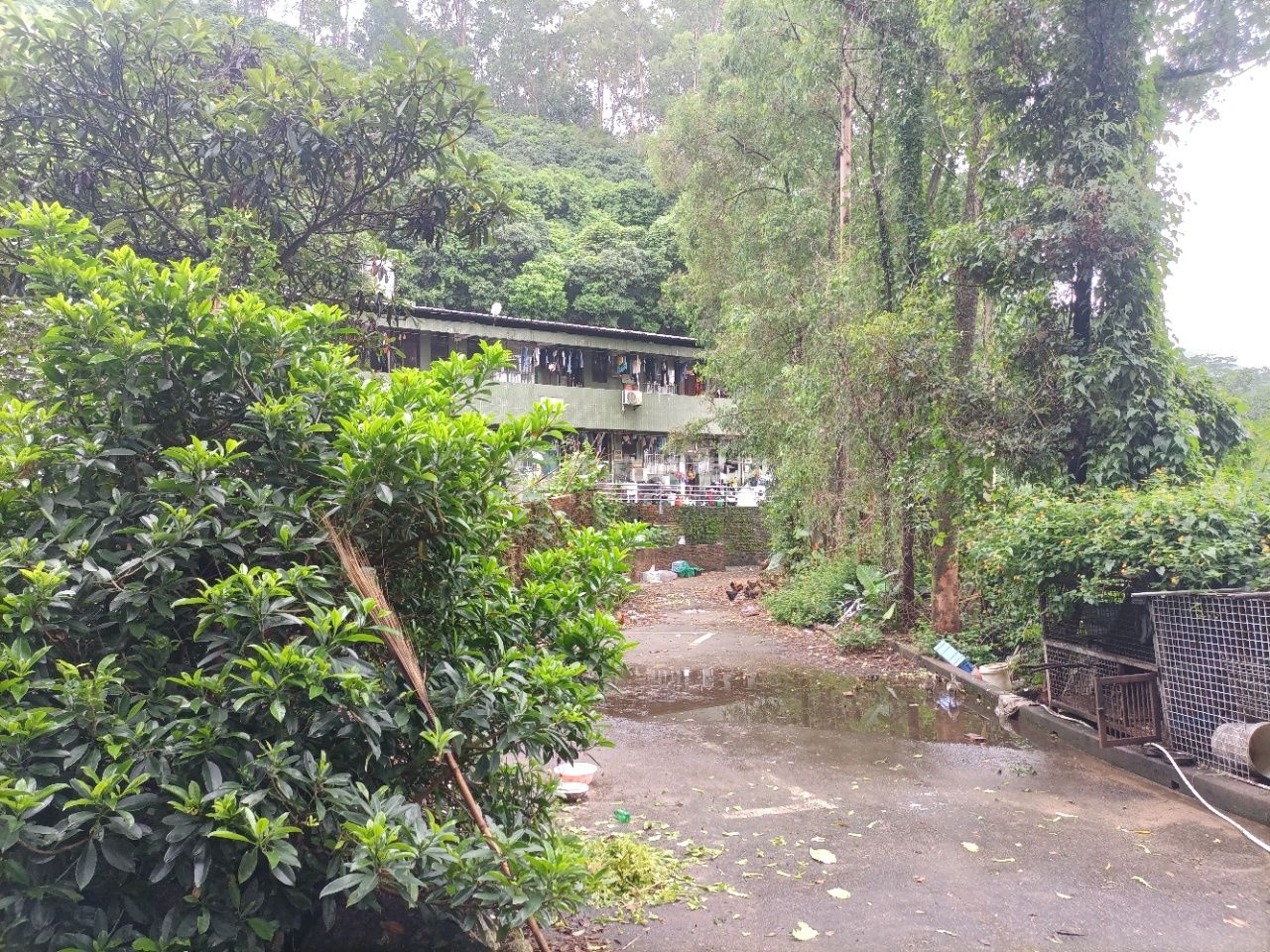 龙华农家乐场地出租
