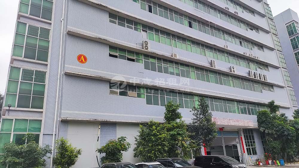 龙华大浪冠城浪口华明工业园1980平方整层厂房物业直租